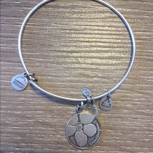 Alex and Ani Bracelet